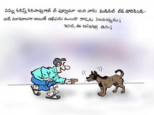 leave on dog bite